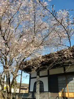 金剛寺のその他建物