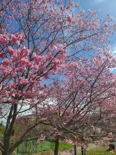 笠間稲荷神社の自然