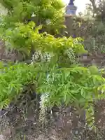 延命寺(福島県)