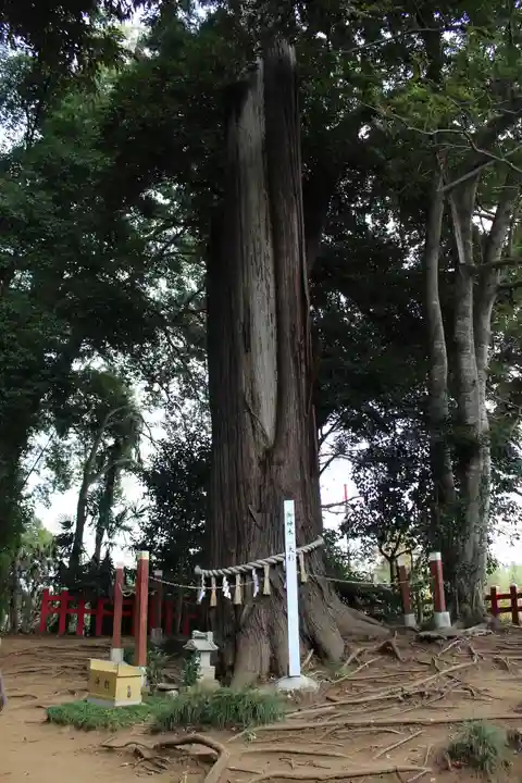麻賀多神社(千葉県)