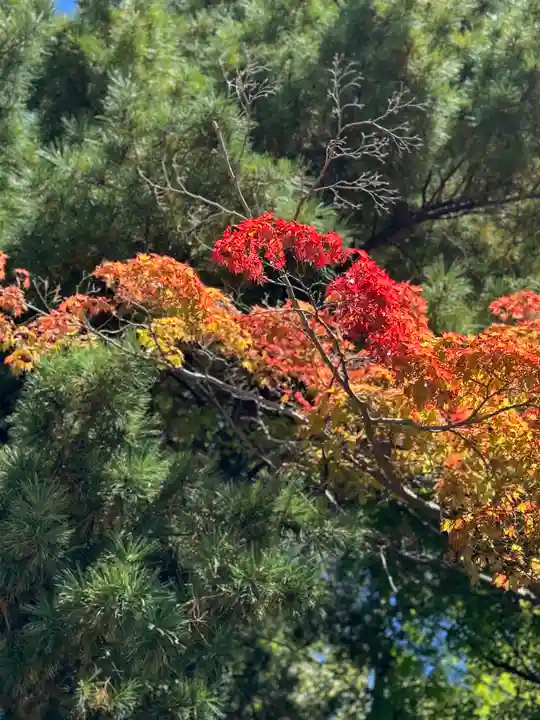手長神社(長野県)