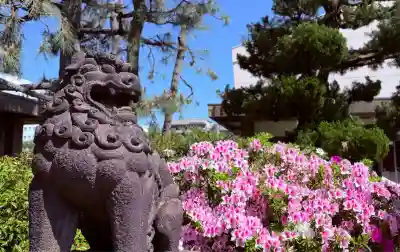 福井神社(福井県)