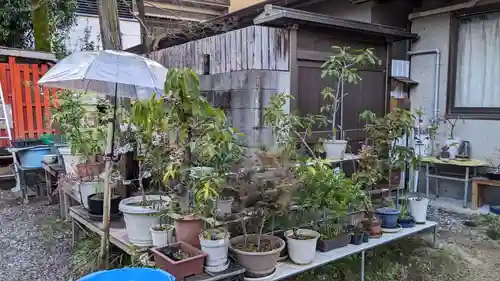 高知大神宮の庭園