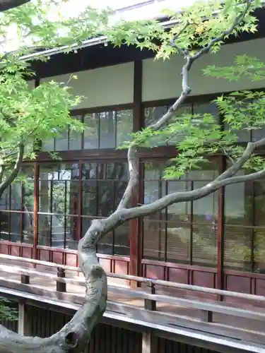 禅林寺（永観堂）の自然