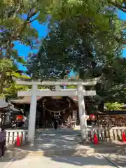 武田神社の鳥居