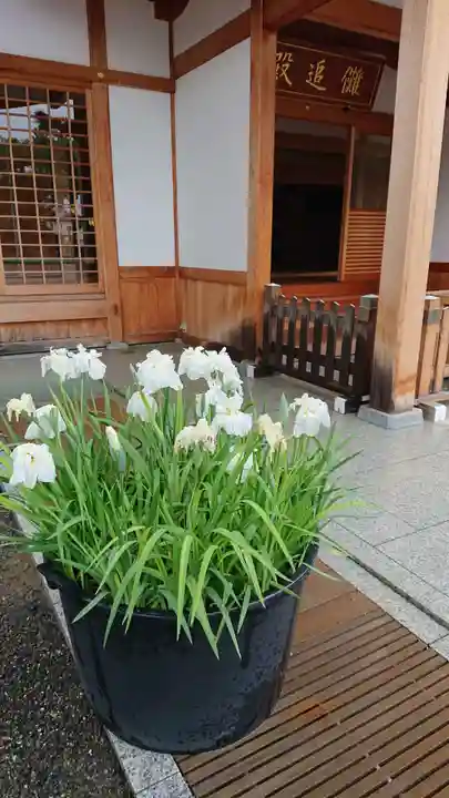 尾張大國霊神社(国府宮)のその他建物