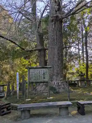 生目神社(宮崎県)