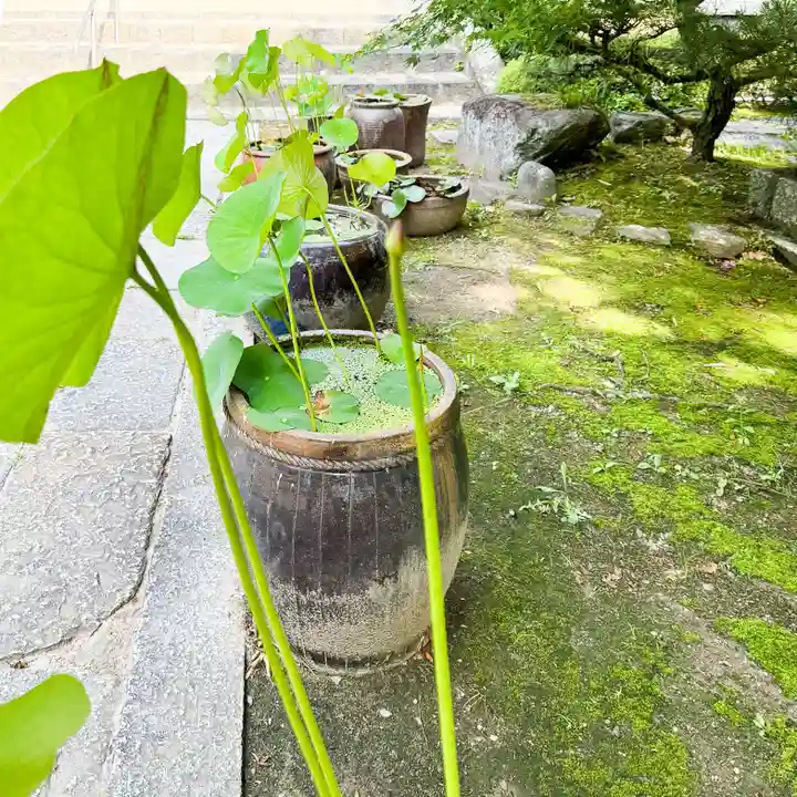 伊勢の国 四天王寺(三重県)