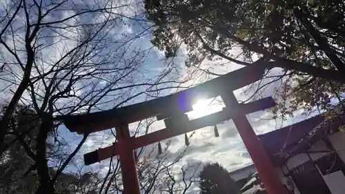 宇治上神社の鳥居