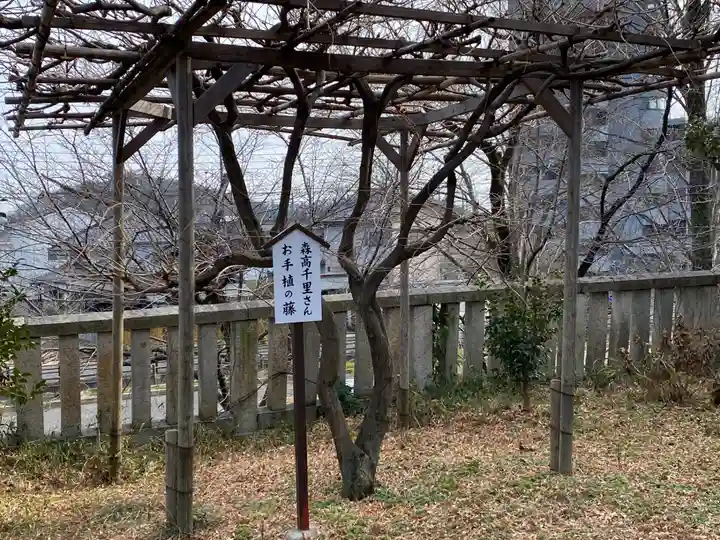 八雲神社(緑町)(栃木県)