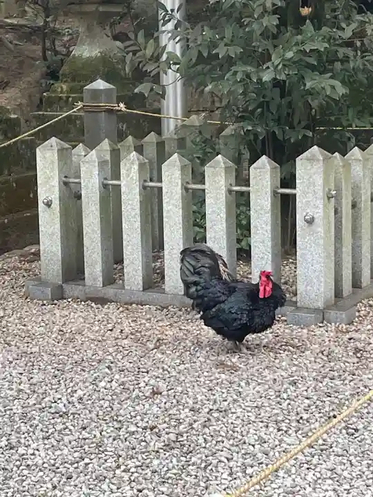 石上神宮の御朱印