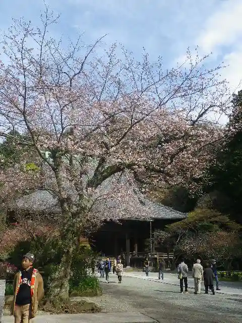妙本寺(神奈川県)