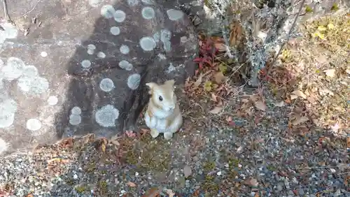 日蓮宗 総本山 塔頭 定林坊(じょうりんぼう)の狛犬