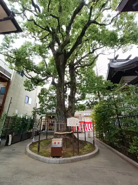 溝口神社(神奈川県)