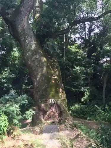 奈良豆比古神社の自然