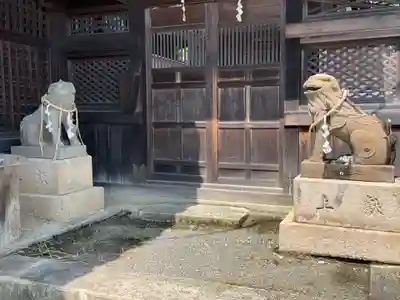 住吉神社の狛犬
