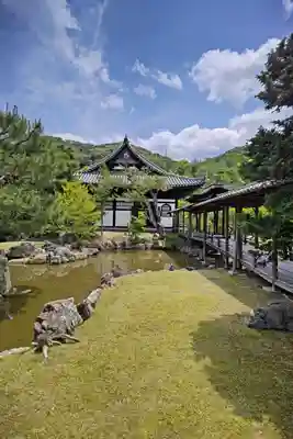 高台寺（高台寿聖禅寺・高臺寺）(京都府)