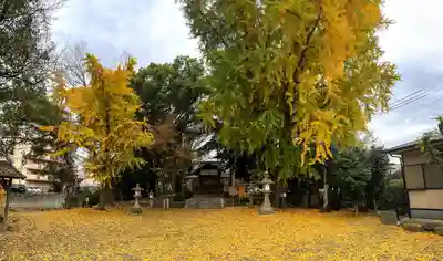 三栖神社(京都府)