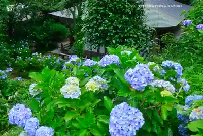 妙楽寺(神奈川県)