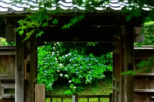 長壽寺（長寿寺）(神奈川県)