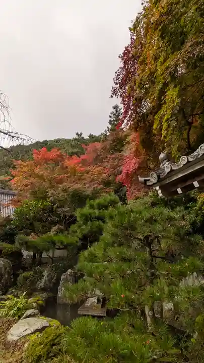 金蔵寺(京都府)