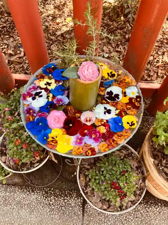 川越八幡宮の{uncategorized: "未分類", other: "その他", undefined: "問題あり", building: "その他建物", grave: "お墓", sacred_gate: "鳥居", guardian: "狛犬", statue: "像", buddha: "仏像", history: "歴史", nature: "自然", garden: "庭園", animal: "動物", pagoda: "塔", temizu: "手水舎", mountain_gate: "山門・神門", sanctuary: "本殿・本堂", subordinate: "末社・摂社", art: "芸術", scenery: "景色", jizo: "地蔵", ema: "絵馬", goshuin: "御朱印", omikuji: "おみくじ", items: "授与品その他", amulet: "お守り", goshuincho: "御朱印帳", eats: "食事", festival: "お祭り", votive_dance: "神楽", shichigosan: "七五三参", wedding: "結婚式", experience: "体験その他", initially: "初詣", around: "周辺", anti_infection: "感染症対策"}