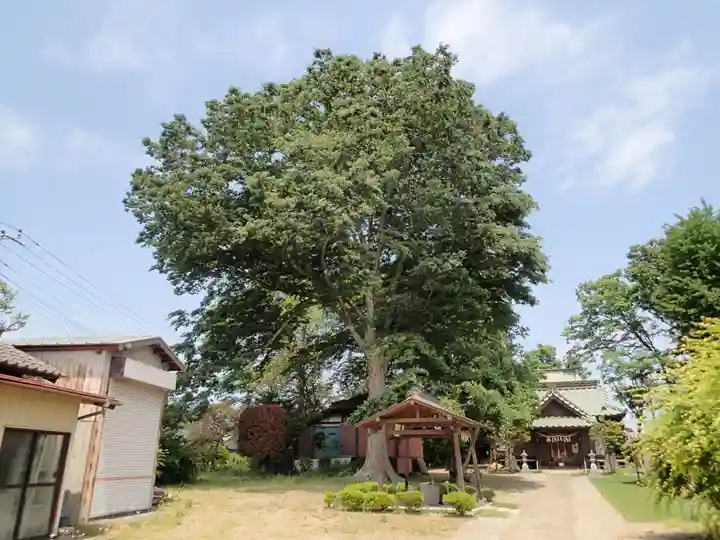 姫宮神社のその他建物