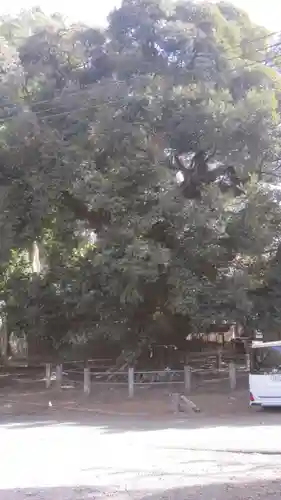 月讀神社(茨城県)