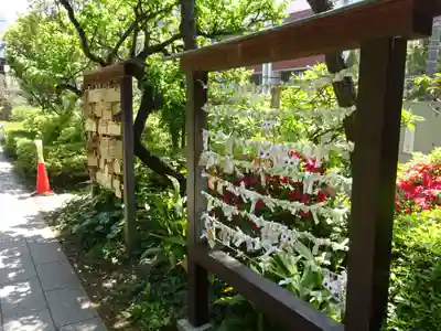 鳩森八幡神社のおみくじ