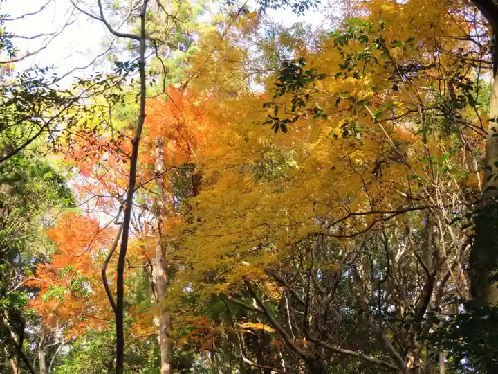 倭姫宮(皇大神宮別宮)の自然