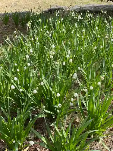 大生郷天満宮の自然