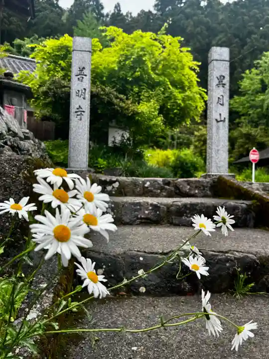 普明寺(京都府)