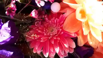 新琴似神社の手水舎