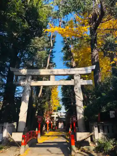 馬橋稲荷神社の鳥居