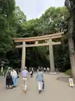 明治神宮(東京都)