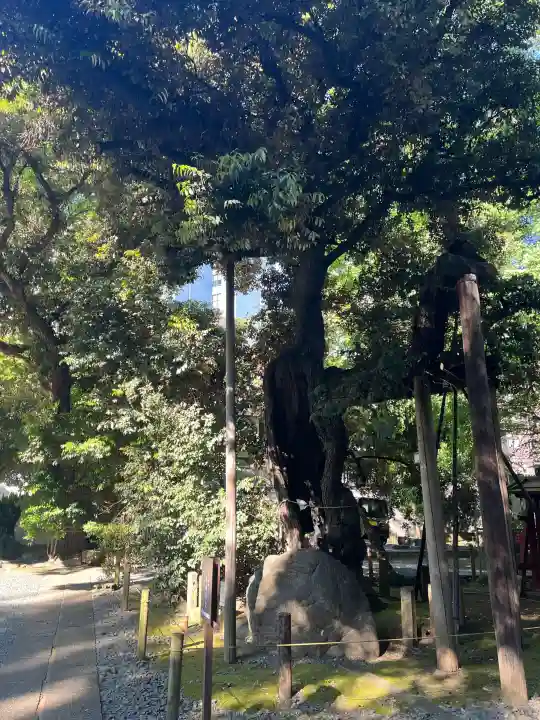 金王八幡宮の{uncategorized: "未分類", other: "その他", undefined: "問題あり", building: "その他建物", grave: "お墓", sacred_gate: "鳥居", guardian: "狛犬", statue: "像", buddha: "仏像", history: "歴史", nature: "自然", garden: "庭園", animal: "動物", pagoda: "塔", temizu: "手水舎", mountain_gate: "山門・神門", sanctuary: "本殿・本堂", subordinate: "末社・摂社", art: "芸術", scenery: "景色", jizo: "地蔵", ema: "絵馬", goshuin: "御朱印", omikuji: "おみくじ", items: "授与品その他", amulet: "お守り", goshuincho: "御朱印帳", eats: "食事", festival: "お祭り", votive_dance: "神楽", shichigosan: "七五三参", wedding: "結婚式", experience: "体験その他", initially: "初詣", around: "周辺", anti_infection: "感染症対策"}