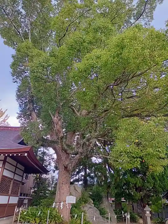和貴宮神社(京都府)