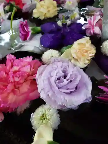 鳩森八幡神社の手水舎