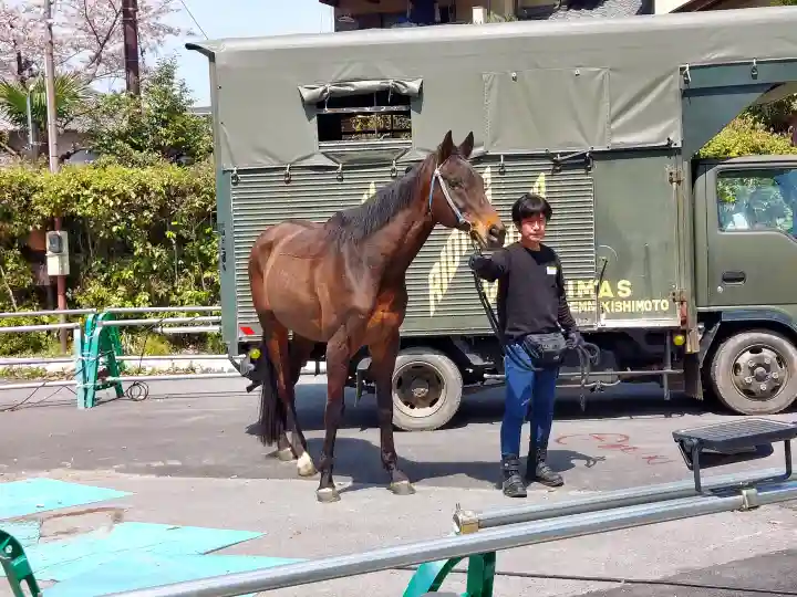 大神神社の{uncategorized: "未分類", other: "その他", undefined: "問題あり", building: "その他建物", grave: "お墓", sacred_gate: "鳥居", guardian: "狛犬", statue: "像", buddha: "仏像", history: "歴史", nature: "自然", garden: "庭園", animal: "動物", pagoda: "塔", temizu: "手水舎", mountain_gate: "山門・神門", sanctuary: "本殿・本堂", subordinate: "末社・摂社", art: "芸術", scenery: "景色", jizo: "地蔵", ema: "絵馬", goshuin: "御朱印", omikuji: "おみくじ", items: "授与品その他", amulet: "お守り", goshuincho: "御朱印帳", eats: "食事", festival: "お祭り", votive_dance: "神楽", shichigosan: "七五三参", wedding: "結婚式", experience: "体験その他", initially: "初詣", around: "周辺", anti_infection: "感染症対策"}