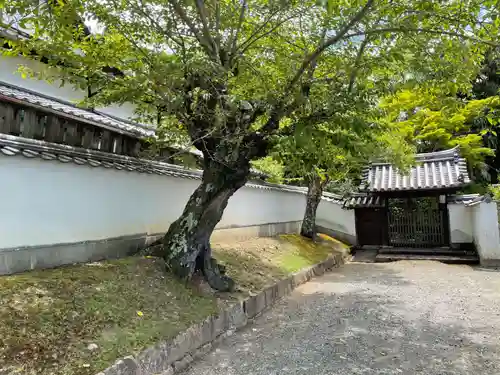 正観院のその他建物