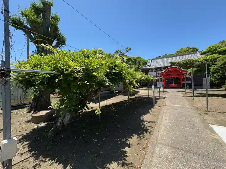 四天木稲生神社の{uncategorized: "未分類", other: "その他", undefined: "問題あり", building: "その他建物", grave: "お墓", sacred_gate: "鳥居", guardian: "狛犬", statue: "像", buddha: "仏像", history: "歴史", nature: "自然", garden: "庭園", animal: "動物", pagoda: "塔", temizu: "手水舎", mountain_gate: "山門・神門", sanctuary: "本殿・本堂", subordinate: "末社・摂社", art: "芸術", scenery: "景色", jizo: "地蔵", ema: "絵馬", goshuin: "御朱印", omikuji: "おみくじ", items: "授与品その他", amulet: "お守り", goshuincho: "御朱印帳", eats: "食事", festival: "お祭り", votive_dance: "神楽", shichigosan: "七五三参", wedding: "結婚式", experience: "体験その他", initially: "初詣", around: "周辺", anti_infection: "感染症対策"}