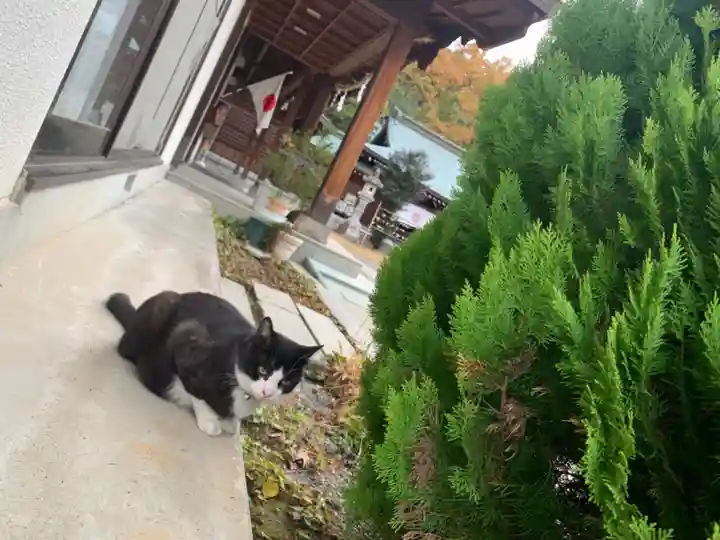 山梨縣護國神社の動物