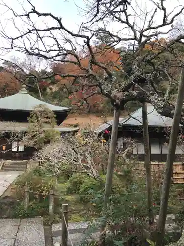 瑞泉寺の庭園