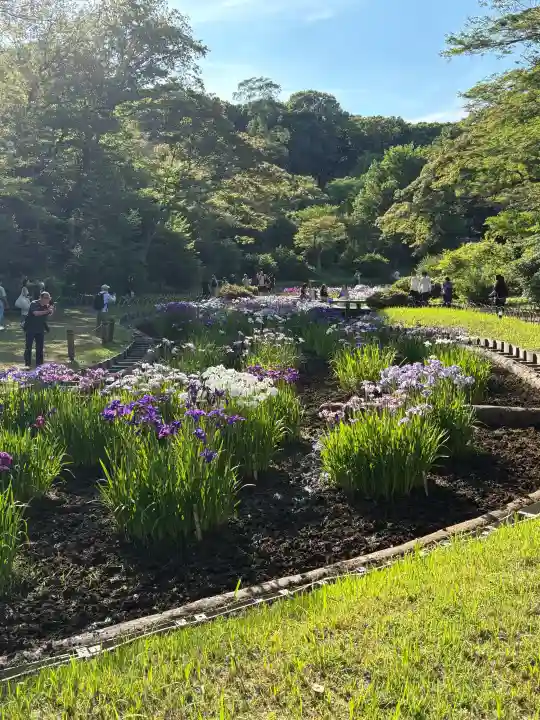 明治神宮(東京都)