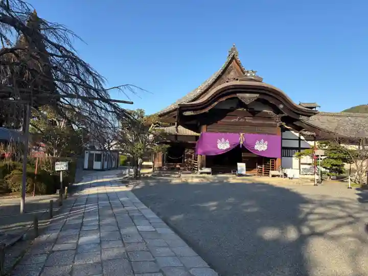 三宝院(三宝院門跡)(京都府)
