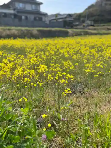 岩上神社(兵庫県)