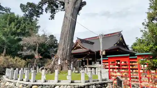 矢奈比賣神社（見付天神）(静岡県)