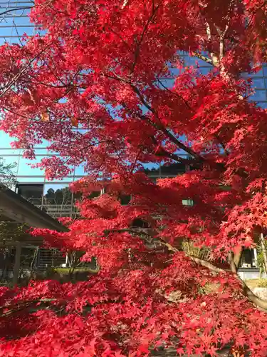 宝満宮竈門神社(福岡県)