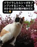 専念寺(大阪府)