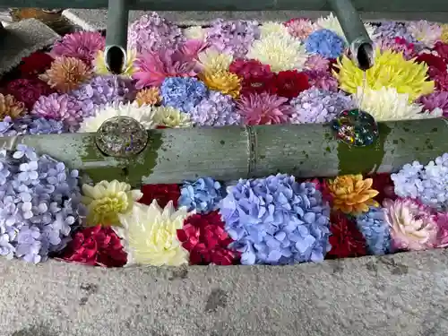 岡寺（龍蓋寺）(奈良県)